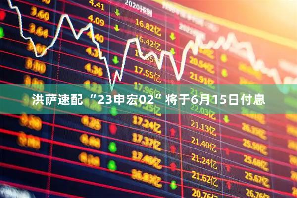 洪萨速配 “23申宏02”将于6月15日付息