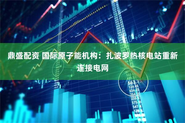 鼎盛配资 国际原子能机构：扎波罗热核电站重新连接电网