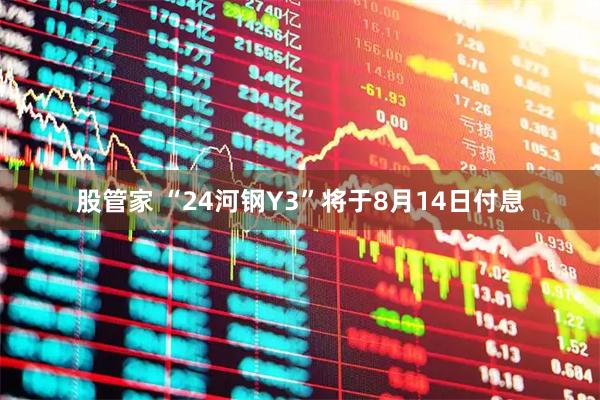 股管家 “24河钢Y3”将于8月14日付息
